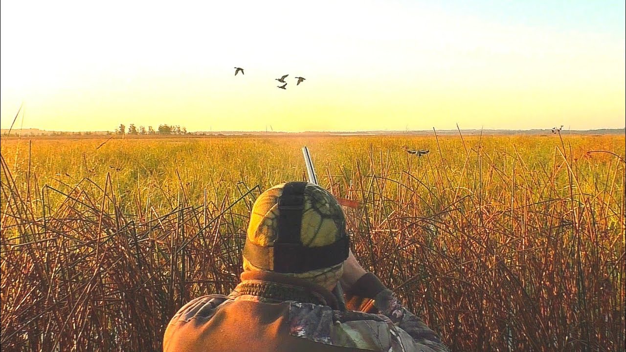 НАШЁЛ ШИКАРНОЕ МЕСТО ДЛЯ ОХОТЫ НА УТКУ ЧУЧЕЛАМИ. Охота на утку. 