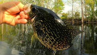 Hand tied Crappie jigs  Spring Crappie fishing tips