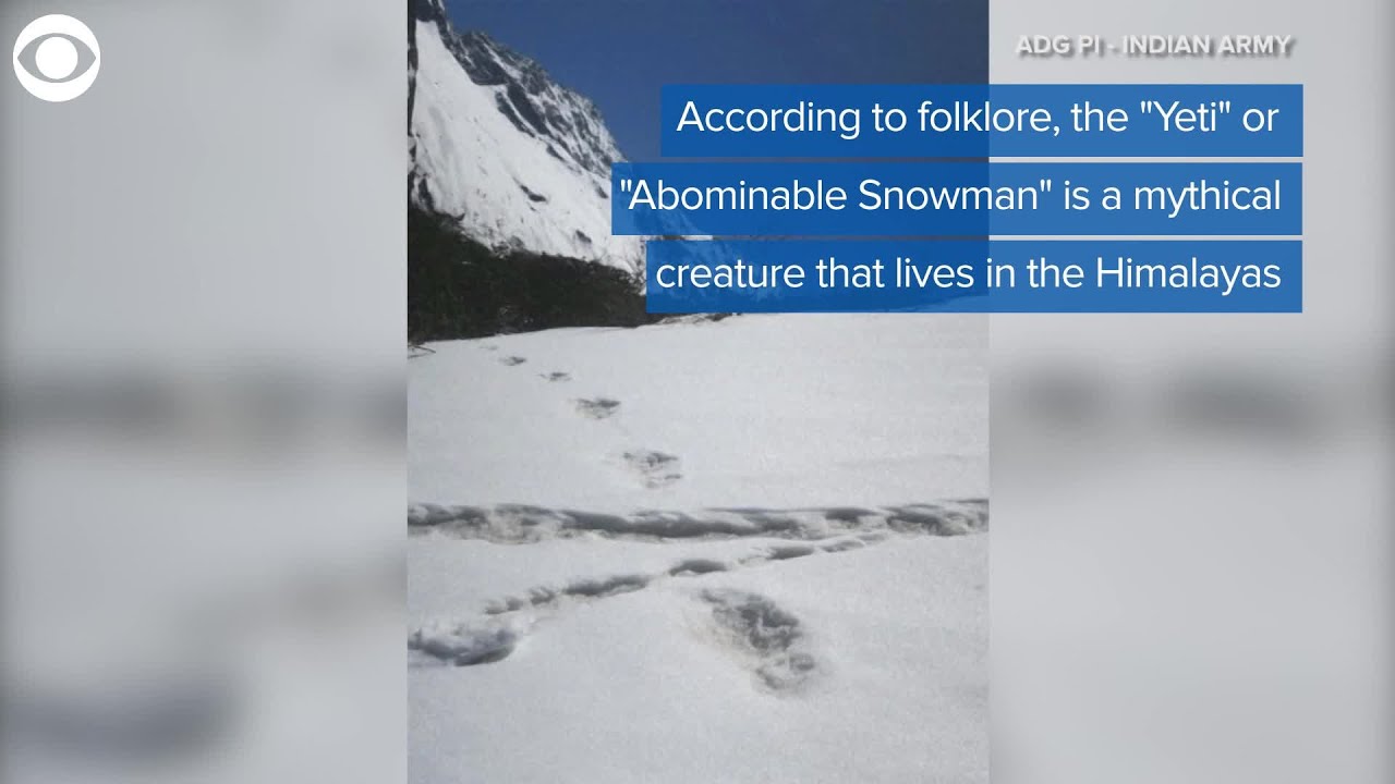 VIDEO: Indian army expedition team claims they found 'Yeti' footprints in Himalayas