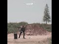 environment#trending#viral🌲🌲🌲🌲🌲🌲🌲🌲🌲🌲🌴🎋🎋🌴🌴