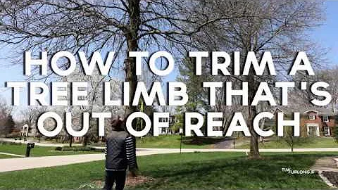 How to cut tree limbs that are too high to reach