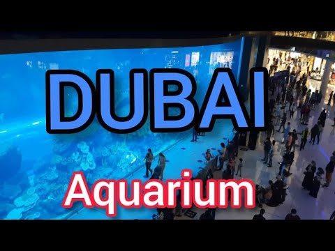 Fish Aquarium in Dubai Mall|Dubai Aquarium |Life with Nasir