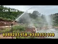 Béc tưới cây rocket 53 siêu chân thực