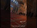 مقطع من داخل المسجد الاموي