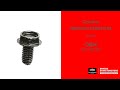 697725 Screw Briggs and Stratton Genuine OEM Part - Superseded from 695453
