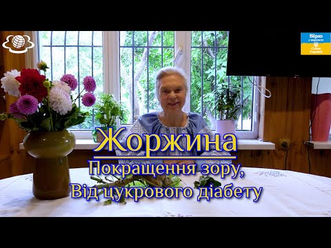 Dahlia Improves Vision Diabetes