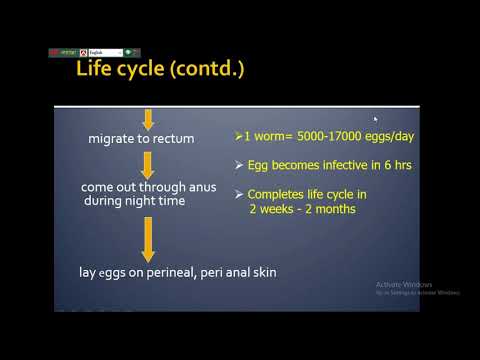 Video: Enterobiasis - Gejala, Analisis, Rawatan Penyakit