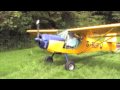 Kitfox