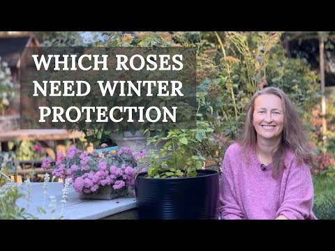 Which Zones Require ROSE Protection?