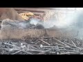 🥇 Village Blacksmith Work Live | Red Hot Iron 🔥