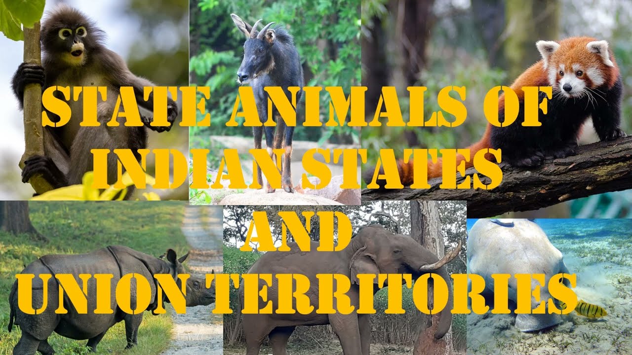 State Animals of Indian States and Union Territories | Wildlife of India | Master Learning IAS