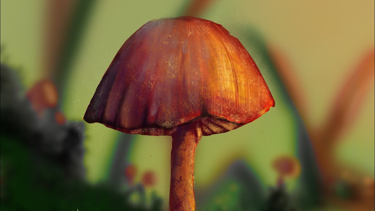 Colorful Realistic Mushroom Illustration | Procreate Painting Time-lapse