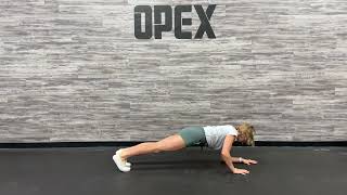 Front Plank to Forearm Plank Wealth