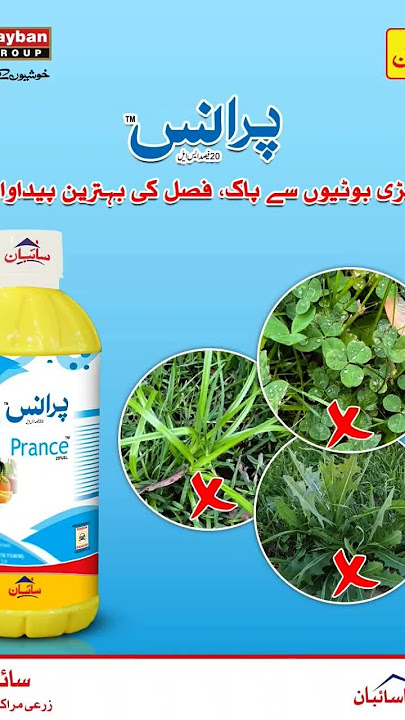 پرانسجڑی بوٹیوں سے پاک، فصل کی بہترین پیداوار!PranceAvailable at Sayban Zarai Marakiz.📞 03090721945