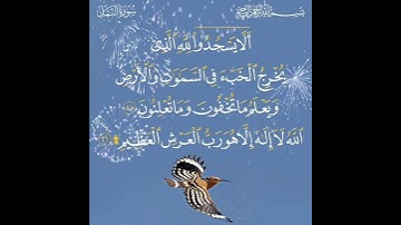 سورة النمل الآية ( 25 )