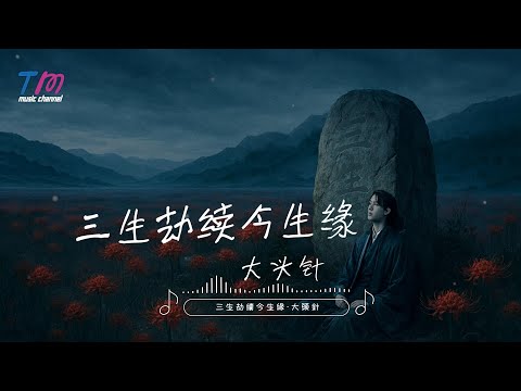 大頭針 三生劫續今生緣 我久跪佛前只求再見你一面 哪怕只有匆匆一瞬間 高音質動態歌詞MV 