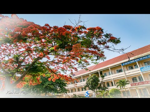 Video Mùa Hè Yêu Thương - Mỹ Tâm (Lyric Video) - youtube