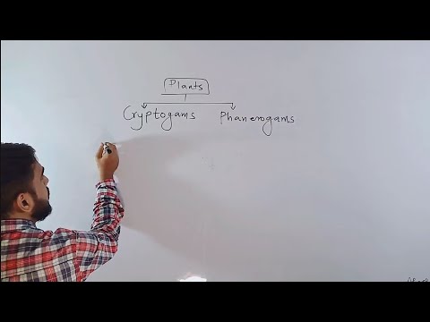 Classification of Plants / class 9 / lecture 3/ Cryptogams and Phanerogams