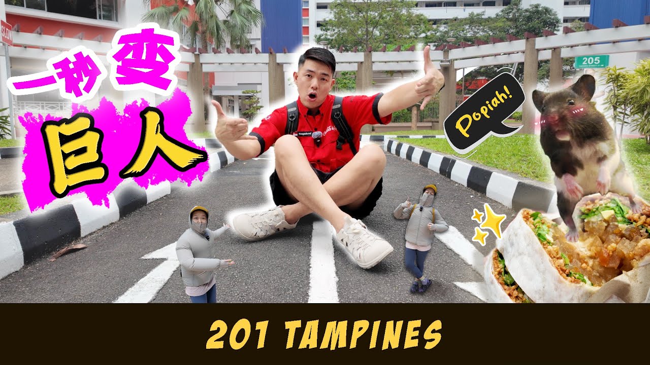 Tampines Has a Mini ROAD SAFETY PARK ?! 🚷 feat. Hidden Malay Street & Tasty Popiah 淡滨尼最奇怪的组屋区