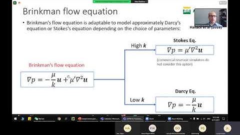 2. Dr. Sergio Cavalcante Petrobras  EDFM workshop video 2