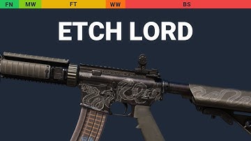 M4A4 Etch Lord - Skin Float And Wear Preview