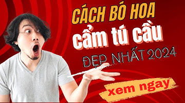 Cách Cắm Hoa Cẩm Tú Cầu Đẹp Nhất 2024 với Bí Quyết Tinh Tế