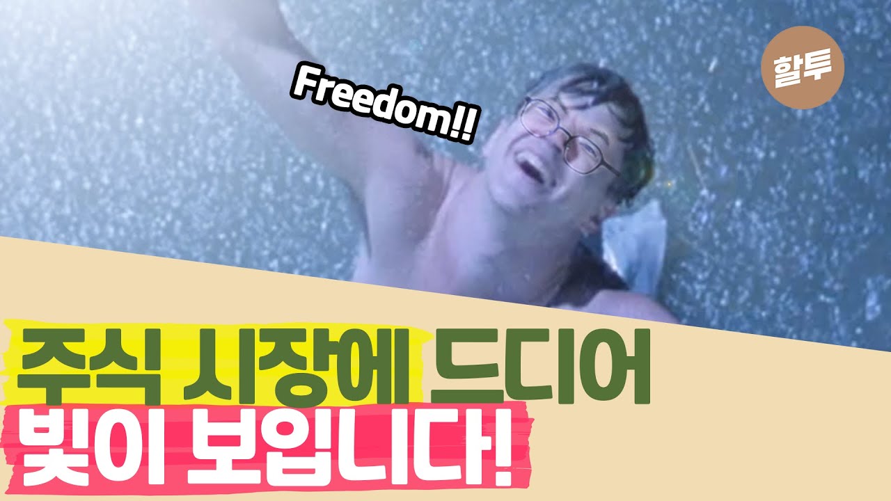 790. 여러분, 8월 말 저는 이렇게 투자했습니다.