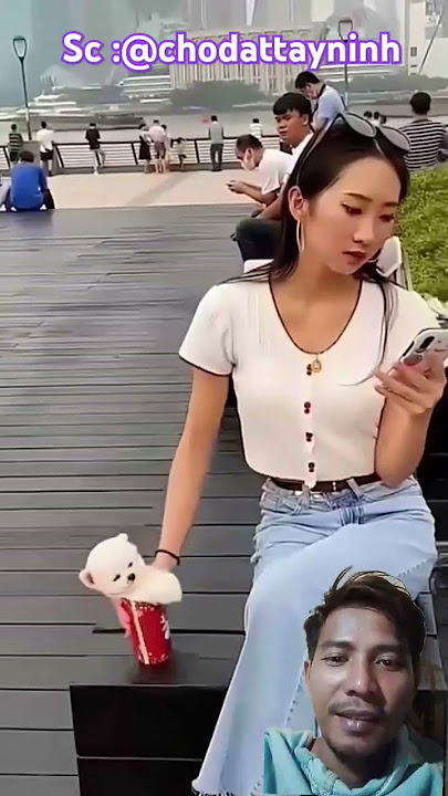 seorang wanita menukar gelas minuman yang di isikan dengan anak anjing,tapi..#cute #dog#lucu#cantik