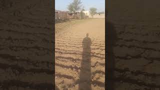 farmers life #farming #vlog #villagelife #rtending #viralshorts