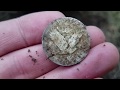 Metal detecting 2019 clips!