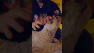 Video Completo este Domingo #asmr #shorts #relax #sleepaid #reiki #energyhealing