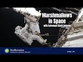 view Astronaut Demonstration: What Marshmallows Teach Us About Space - ISS Science digital asset number 1