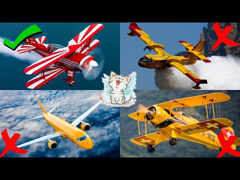 Видео: Найди лишнее: самолеты и воздушный транспорт для детей . Викторина на логику