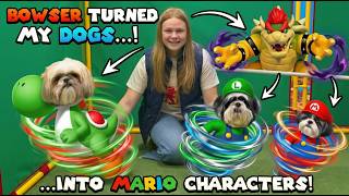 bowser turned my dogs into mario luigi assistant scavenger