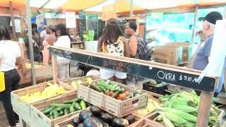 Lettuce recall pushes Georgia shoppers to local farms amid historic parasite surge