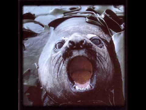 DEAD DREAMS - You Make Me Sick
