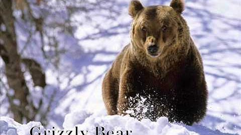 Bill Monroe ::: Footprints In The Snow (with lyrics)