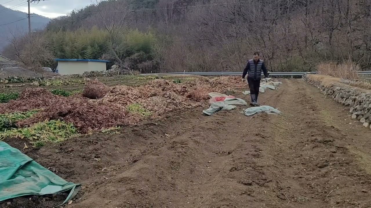 낙엽을 퇴비로 활용