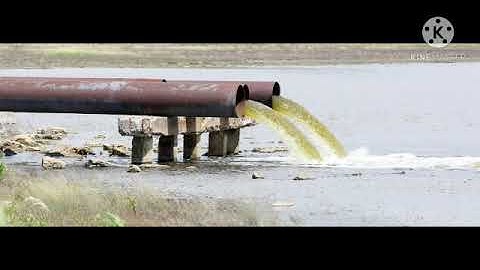 Std : 5.Sub: E.V.S 1.Ls.no.18.The Environment and Us.