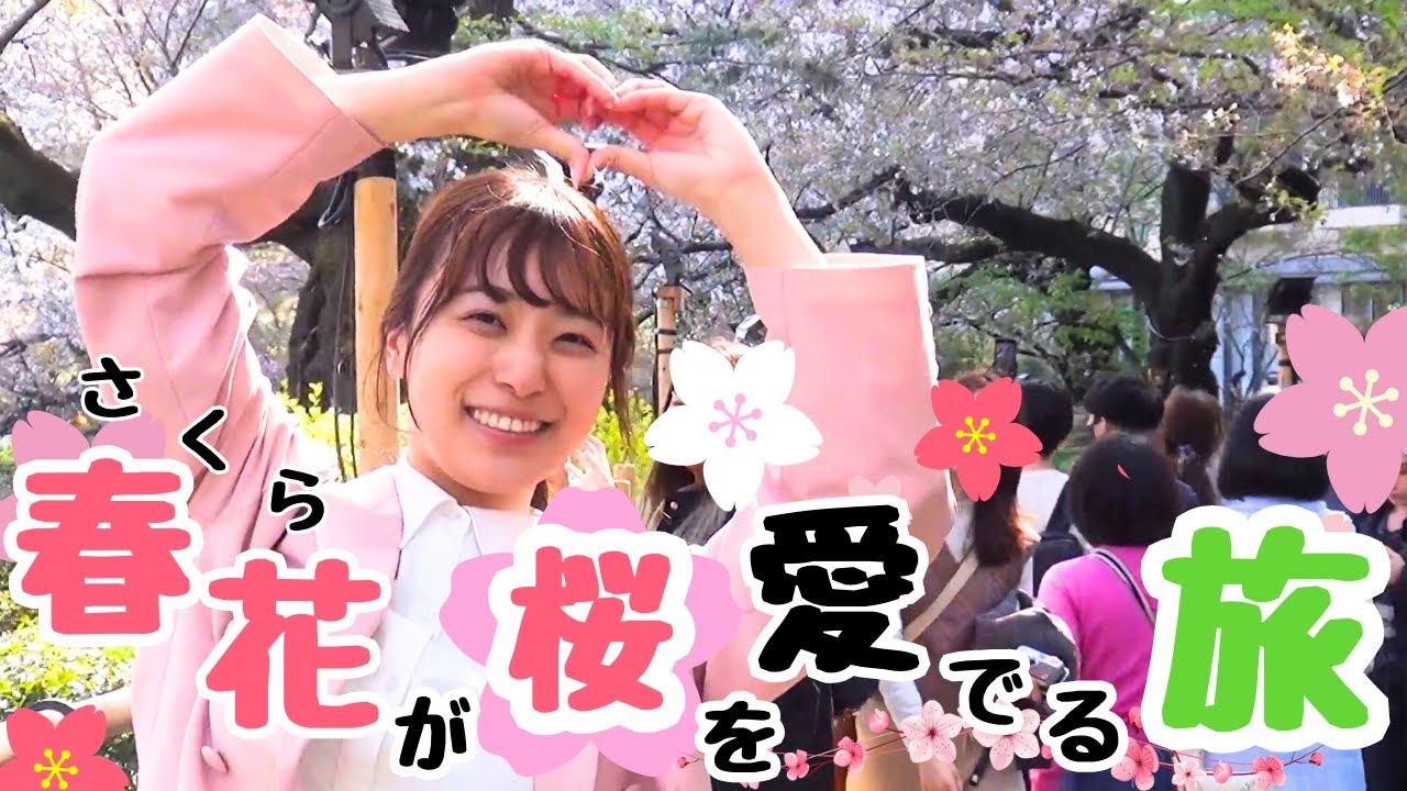 今井春花が都内の桜の名所を楽しみました【グッド！モーニング】