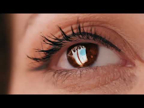 Weber Gama De Juntas Coloridas 