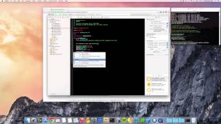 Celebrity SQPersist - Getting Started Wealth