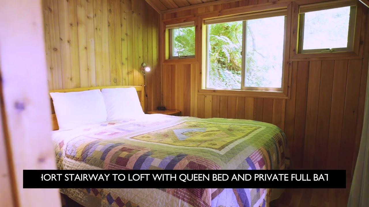 Deep Forest Cabins | Ashford, WA