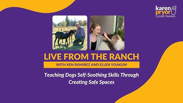Teaching Dogs Self-Soothing Skills Through Creating Safe Spaces • Ellen Yoakum and Ken Ramirez
