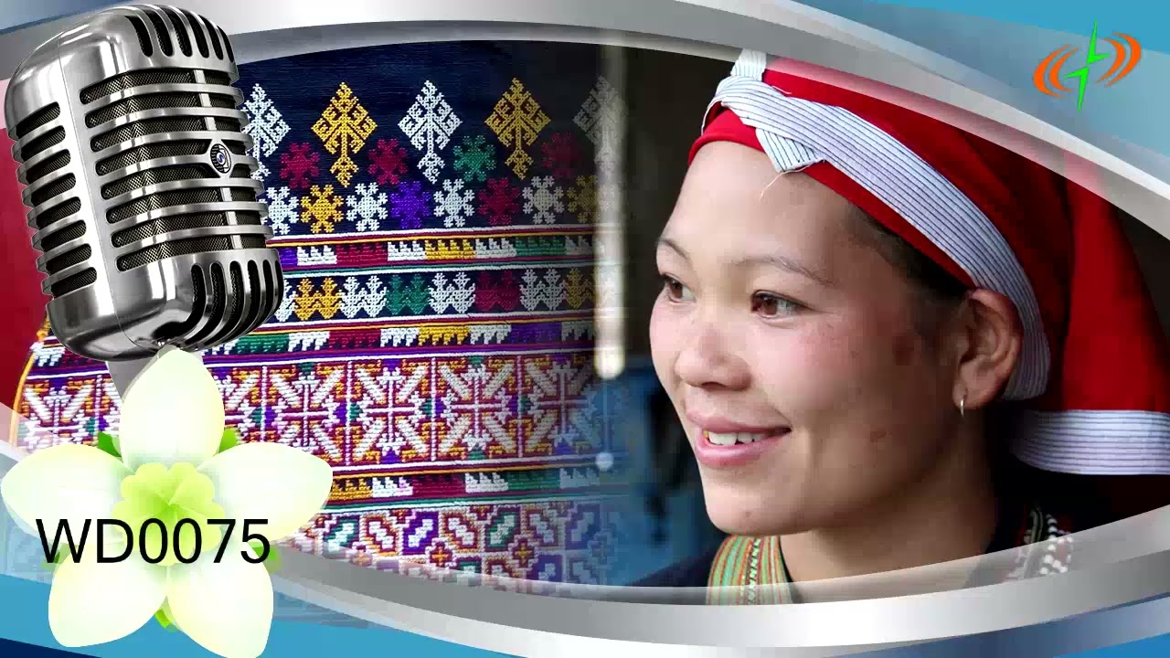 Iu Mienh Dienx Taaih WD0075