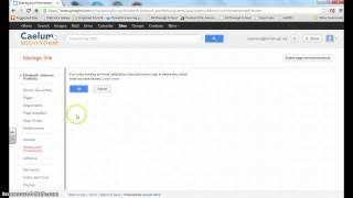 How to Edit Share Settings for Portfolio Google Site