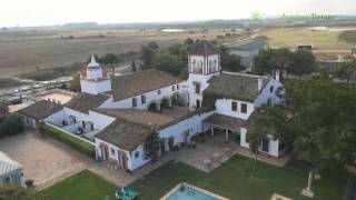 Yeguada Ayala. Utrera. Sevilla