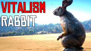 Red Dead Online: Rabbit Vitalism Studies