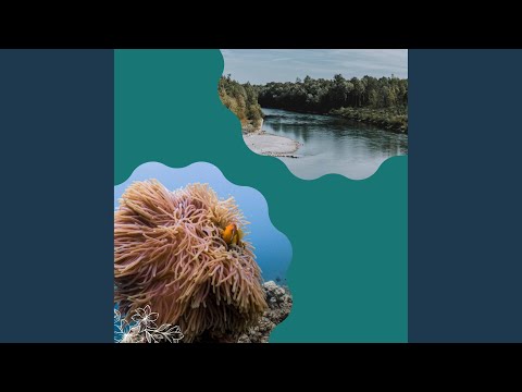 Understated (Complete Tranquility)