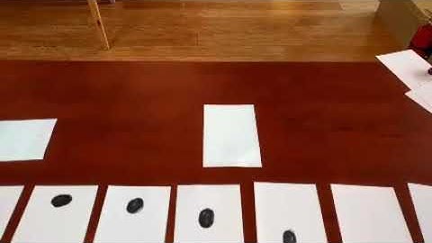 Playing in Dynamicland